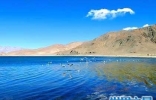 中国海拔最高的湖，霍尔泊湖(也是世界最高)