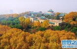 中国最美大学，错过了这些你一定觉得很可惜