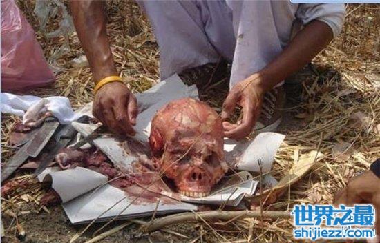 可是泰国这种真正吃人肉的行为,却是个宴席,并且是合法的,听着也是毛