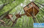 世界十大最美树屋，它宛如仙境一般。