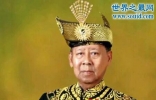 马来西亚最高元首，只是一个空架子(没有实权)