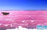塞内加尔神奇的玫瑰湖，湖水竟能变色(淡绿变粉红)