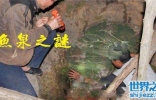 重庆鱼泉之谜，自动冒鱼的泉水带来巨大财富