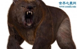 地球上体型最大的熊，巨型短面熊(重达3400斤)