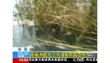 南美洲最大淡水湖鱼群离奇死亡
