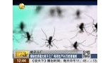 探秘最大蚊子工厂 每周生产50万绝育雄蚊