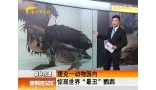 捷克一动物园内惊现世界最丑鹦鹉