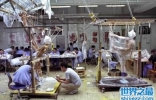 揭秘尸体工厂的运作，人死后被脱水切片(超恐怖)