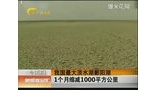 我国最大淡水湖鄱阳湖 1个月缩减1000平方公里