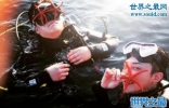 韩国总统怒批权志龙，济州岛抓海星危害生态环境