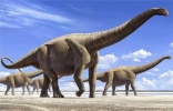 最大的恐龙是哪个品种 恐龙为什么会灭绝