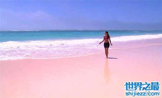 【巴哈马粉色沙滩，由天然生物形成适合春秋前往度假 】图1