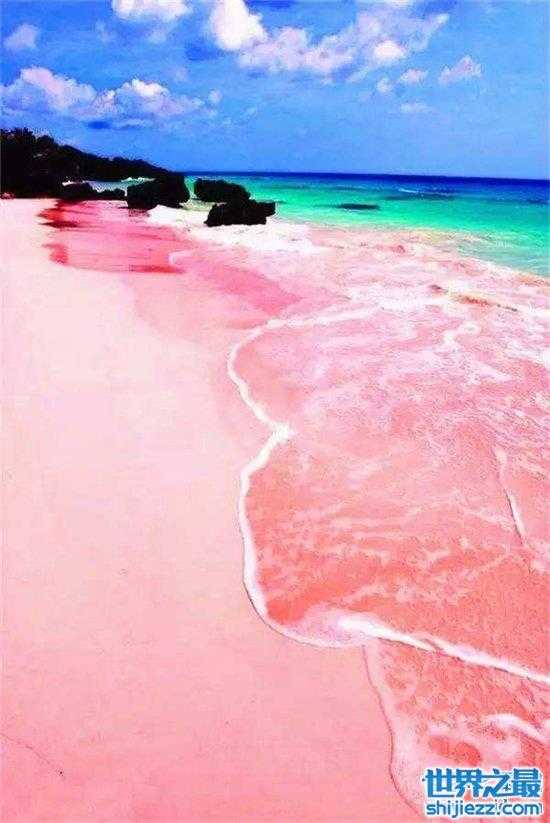 【巴哈马粉色沙滩，由天然生物形成适合春秋前往度假 】图2