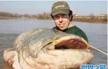世界上最大的淡水鱼，居然是来自湄公河的它！