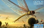 史前最大的飞行昆虫，巨脉蜻蜓(空中霸主)