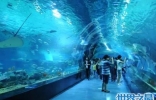 世界上最大室内海洋展馆，占地200多亩！