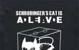 薛定谔的猫是什么意思？根据结论提出平行宇宙的说法