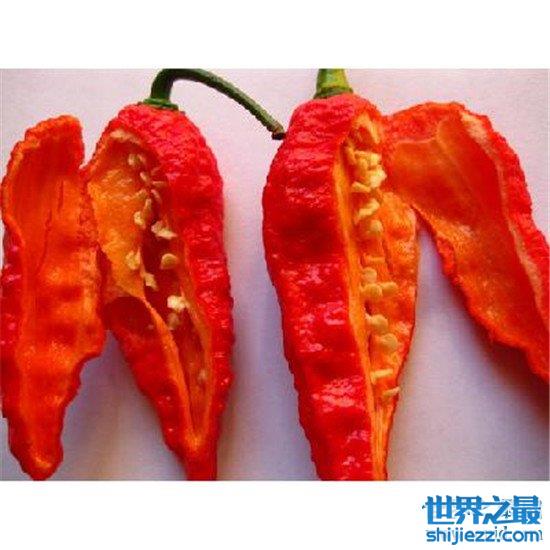 世界上最辣的辣椒