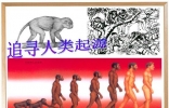 人类的起源神话故事，早期猿人净化发展到如今