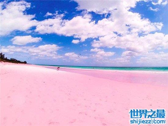 【巴哈马粉色沙滩，由天然生物形成适合春秋前往度假 】图3