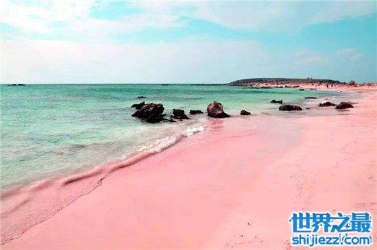 【巴哈马粉色沙滩，由天然生物形成适合春秋前往度假 】图4