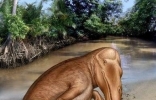 鲸鱼的祖先，竟然是生活在陆地上的生物，形似老鼠