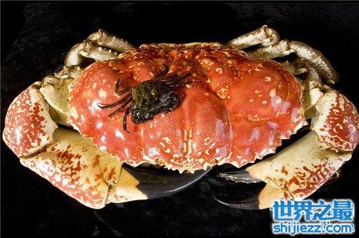 世界上最重的螃蟹，塔斯马尼亚帝王蟹重达45公斤