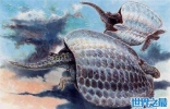 生长在三叠纪的龟龙身长大约90厘米，并且有着乌龟一样的外壳 ...