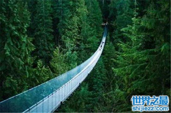 【世界上令人惊叹的十个地方，卡皮拉诺吊桥绝对挑战你的极限 ... 】图2