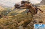 世界上最大的鸟，高达3米，却因是恐龙后代惨遭灭绝