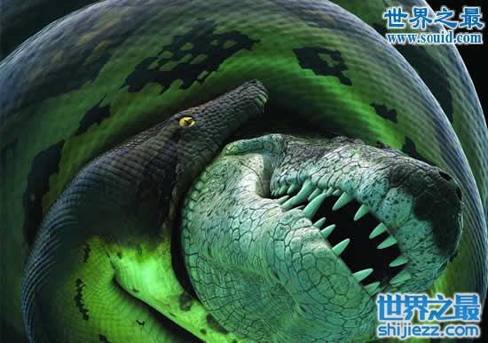 史上最大的蛇,长达15米的泰坦蟒(天下无敌被灭种) 