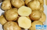 世界上最贵的土豆