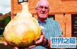 世界最大的洋葱，重达7.7公斤