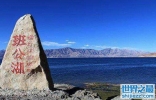 世界上最奇特的湖，被称作长脖子的天鹅