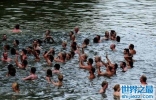 世界最奇特的游泳比赛，全是赤裸的一场赛事