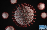 蝙蝠样本中发现新冠状病毒，一致性高达97.2%，证明新冠起源自然 ...
