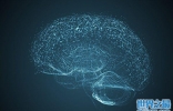 新技术在盲人大脑上直接成像