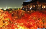 美国《Travel+ Leisure》网站公布2015年全球10大最佳旅游城市：日本京都蝉联 ...