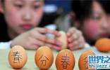 春分为什么要立蛋