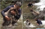土耳其冒险家在河边看到野熊竟邀请它一起落河嬉水