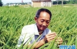 袁隆平离世6个月，骨灰在长沙安葬，三个儿子捧遗照送别父亲 ...