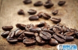 世界十大咖啡豆品牌排行