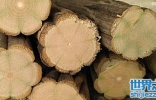 降龙木是怎么用于辟邪的，降龙木的功效与作用