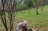 澳洲“拉戈托罗马阁挪露犬”帮主人找到全世界最大的黑松露 ...