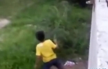 巴西男童爬入邻居后院寻回皮球 遇恶犬险被咬