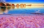 世界十大粉色沙滩，最美沙滩非你莫属（美到窒息）