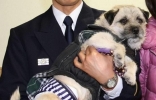 日本静冈田野市一只狗“忠太郎”散步时发现老翁坠水及时提醒主人施救 ...