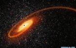 地球7.4亿光年外矮星系中发现密度堪比5万个太阳的中介质量黑洞 ...