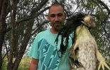 美国猎人在南德克萨斯州农场鱼池抓到重近6公斤的超巨大牛蛙（bull frog） ...