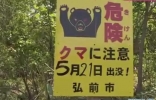 日本秋田县6旬妇人疑在山间采竹笋遭熊袭击致死